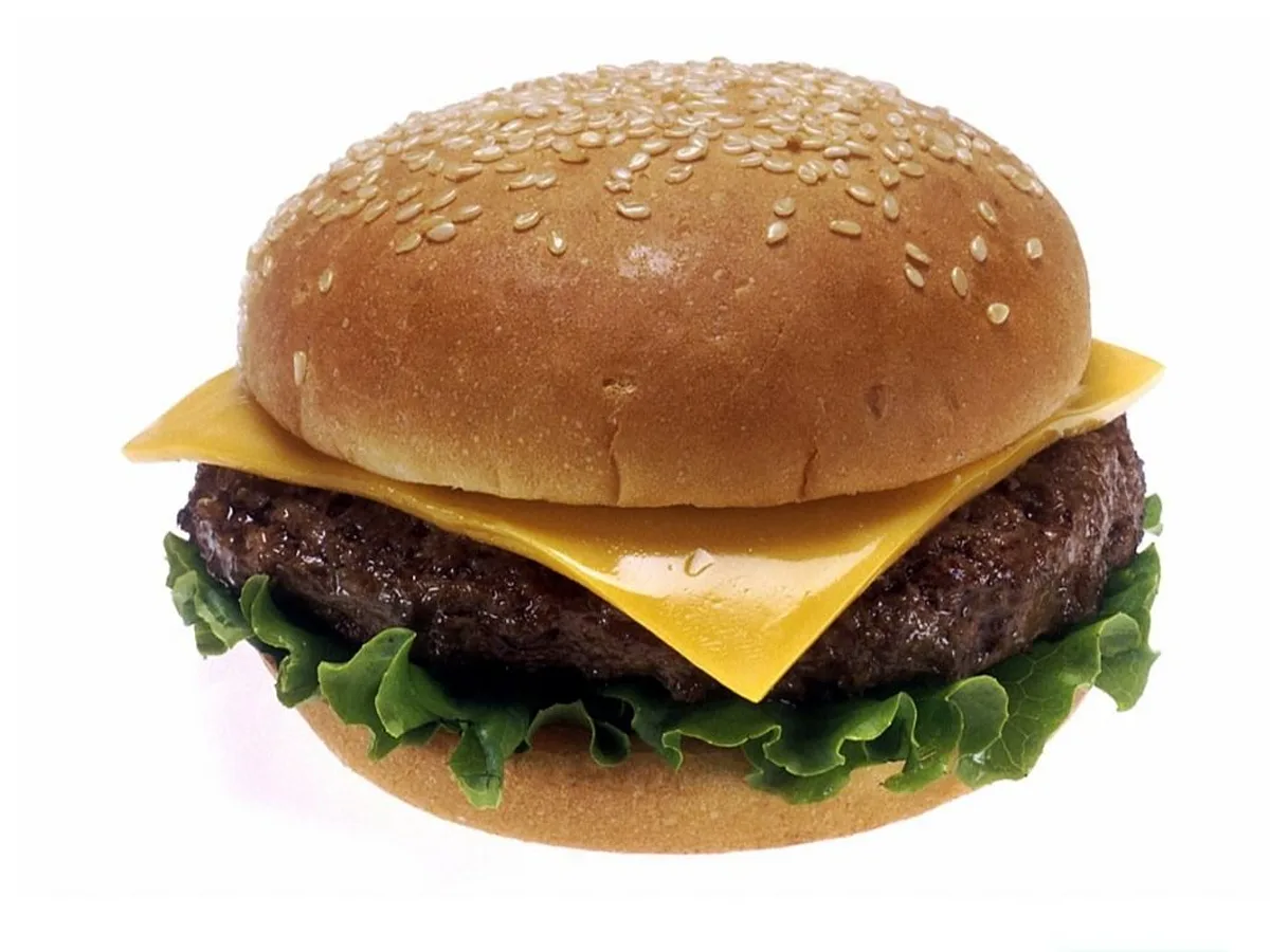 Cheese Burger
